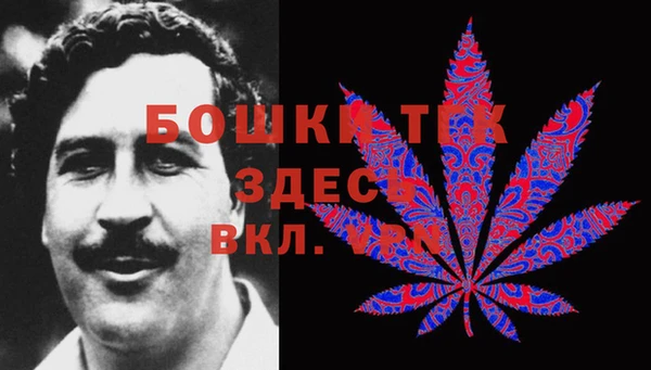 дурь Краснослободск