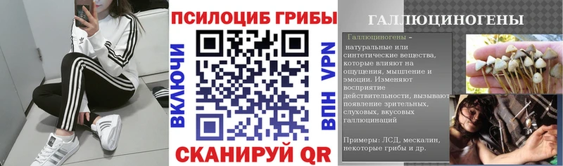 наркошоп  Сухой Лог  Галлюциногенные грибы мухоморы 