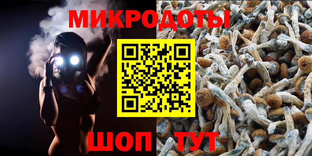 Галлюциногенные грибы мухоморы  Галлюциногенные грибы Cubensis  Сухой Лог  Вход с VPN 